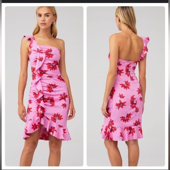 Likely Lois Pink and Red Floral Asymmetrical Dress - Picture 3 of 12